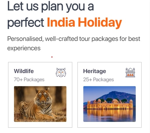 travel website